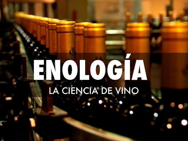 El Práctico del Vino